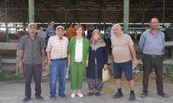 Başkan Ünlüce, Eskişehir Hayvan Pazarı'nı Ziyaret Etti