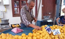 Eskişehir'de Limon Fiyatları Şaşırtıyor