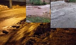 Eskişehir'in Seyitgazi İlçesinde Şiddetli Sağanak Yağışlar Sel Felaketine Neden Oldu