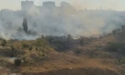 Eskişehir Erenköy'de Yangın Çıktı!