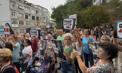 Hayvanları Koruma Kanunundaki Değişiklik Teklifi İstanbul’da Sokağa Taşındı: Beşiktaş ve Fatih’te Büyük Protesto!