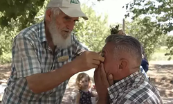 Ameliyatsız Görme Kusurlarından Kurtulmak Mümkün mü? "Gözlük Kırdıran Ot" Tartışılıyor