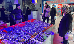 Eskişehir'de Balık Fiyatları Artıyor: En Pahalı Balık Çinekop Oldu