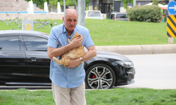 Eskişehir'de Kedisini Veterinere Yetiştirirken Ceza Yedi Mahkemeden Karar Geldi