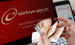 e Devlet’te Adınıza Biriken Parayı PTT’den Hemen Alabilirsiniz