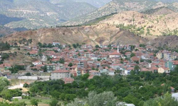 Eskişehir'de O İlçe Kavruluyor Sıcaklık 50 Dereceyi Gördü