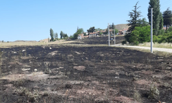 Eskişehir’de Torpil Atılan 15 Dönümlük Arazi Küle Döndü