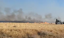 Eskişehir’de Binlerce Dönüm Arazi Alevlere Teslim Oldu