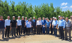 TBMM Komisyonu Eskişehir’de Kiraz Bahçelerini İnceledi