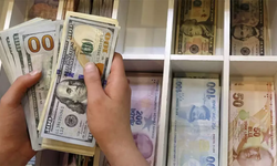 13 Ağustos Döviz Fiyatları Dolar ve Euro Zirve Yarışında
