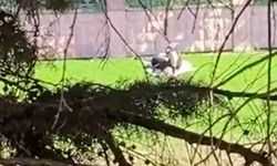 Eskişehir Kanlı Kavak’ta Yine Uygunsuz Görüntü Vakası