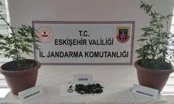 Eskişehir’de Balkonda Bulunanlar Jandarmayı Şaşırttı
