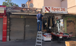 Eskişehirli Esnaf Minik Dostları İçin Her Gün Çatıya Çıkıyor