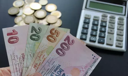 Ailelere Yeni Destek Yolda! Birçok Haneye Vatandaşlık Maaşı Bağlanacak