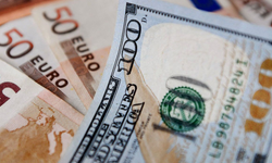 6 Aralık Döviz Kuru Piyasasında Karışık Seyir