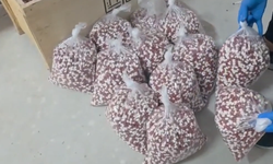 Eskişehir Dahil 72 İlde Toplam 4 Milyon Hap Ele Geçirildi!