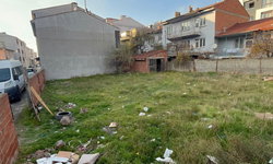 Eskişehir’de Korkunç Olay! 8 Kedinin Cansız Bedeni Bulundu!