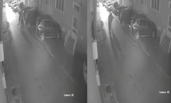 Eskişehir’de Minik Köpeğe Sinirlenen Kuryeden Sahibine Darp