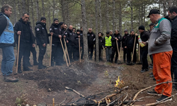 Eskişehir’de Orman Yangınlarına Karşı Gönüllü Sayısı Artıyor