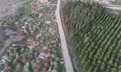 Eskişehir’de Ormanlık Alanın Yanındaki Çöp Yığınları Tepki Çekiyor!