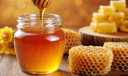 Sofranızda Bu Bal Markaları Varsa Dikkat! Bakanlık Uyardı!