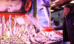 Eskişehir’de Balık Tezgahları Soğuk Havalardan Etkilendi