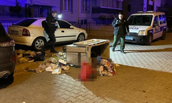 Yeni Doğan Bebeğin Cansız Bedeni Çöp Konteynerinde Bulundu!