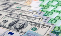 23 Şubat Döviz Fiyatları Yeni Haftaya Yükselişle Başladı!