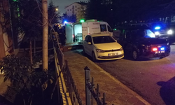 Cezaevinden İzinli Çıkan Şahıs Annesini, Kızını ve Eşini Katletti!