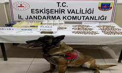 Belçika’dan Gelen Zehir Eskişehir’de Yakalandı