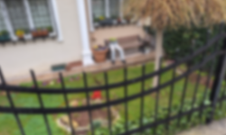 Eskişehir’de Bu Bahçe İlk Bakışta Görenleri Ürkütüyor!