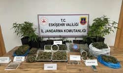 Eskişehir’de Orman Girişinde Operasyon! 1 Tutuklama