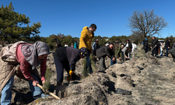 Eskişehir’de Tıp Bayramı’nda Fidanlar Toprakla Buluştu!
