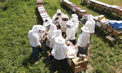 Eskişehir’de Yüzlerce Kişinin Katılımıyla Arıköy Projesi Başladı!