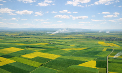 Eskişehir’deki Verimli Tarım Arazileri İçin Mahkemeden Önemli Karar!