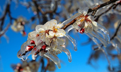 7 Nisan Eskişehir Hava Durumu! Meteoroloji’den Don Uyarısı!