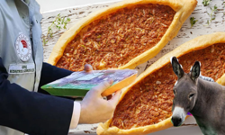 Bakanlık Tek Tek Duyurdu! Pide Harcında Eşek Eti Tespit Edildi!