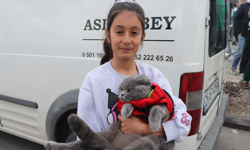 Es Es Tribünlerinin Maskotu Olmuştu! Taraftar Kediden Bursaspor'a Destek!