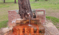 Eskişehir’de Bu Çeşmeden Doğal Maden Suyu Akıyor!