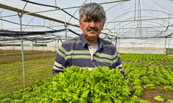 Eskişehir’de Fark Dudak Uçuklatıyor! Marul 15’ten 100 TL’ye Çıkıyor