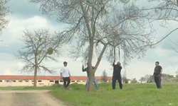 Eskişehir’de Mangal İçin Ağaç Dalını Kırmaya Çalıştılar!