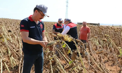 Eskişehir’de Kuraklık Masada! Su Ve Barajlar Değerlendirildi