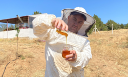 Eskişehir’de Üretilen Bu Bal Paris’ten Büyük Ödülle Döndü!