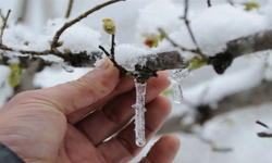 Meteoroloji’den Eskişehir’e Kar Ve Don Uyarısı