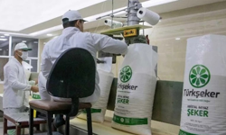 Türkşeker 525 Geçici İşçi Alımı İçin Başvuru Süreci Başladı!