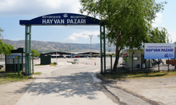 Eskişehir Hayvan Pazarı’nın Açılacağı Tarih Belli Oldu!