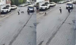 Eskişehir’de Köpeğin Oyunu Küçük Çocuğu Korkuttu