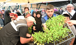 Eskişehir Vatandaşlara 10 Bin Adet Sebze Fidesi Dağıtıldı!