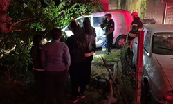 Eskişehir’de Dut Ağacı Araçların Üzerine Devrildi