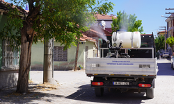 Eskişehir'de Uçkun Zararlılar İçin Ekipler Harekete Geçti!